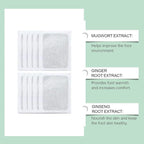 Herbal Detox Foot Pads(Pack of 2) - CL-NU-1520